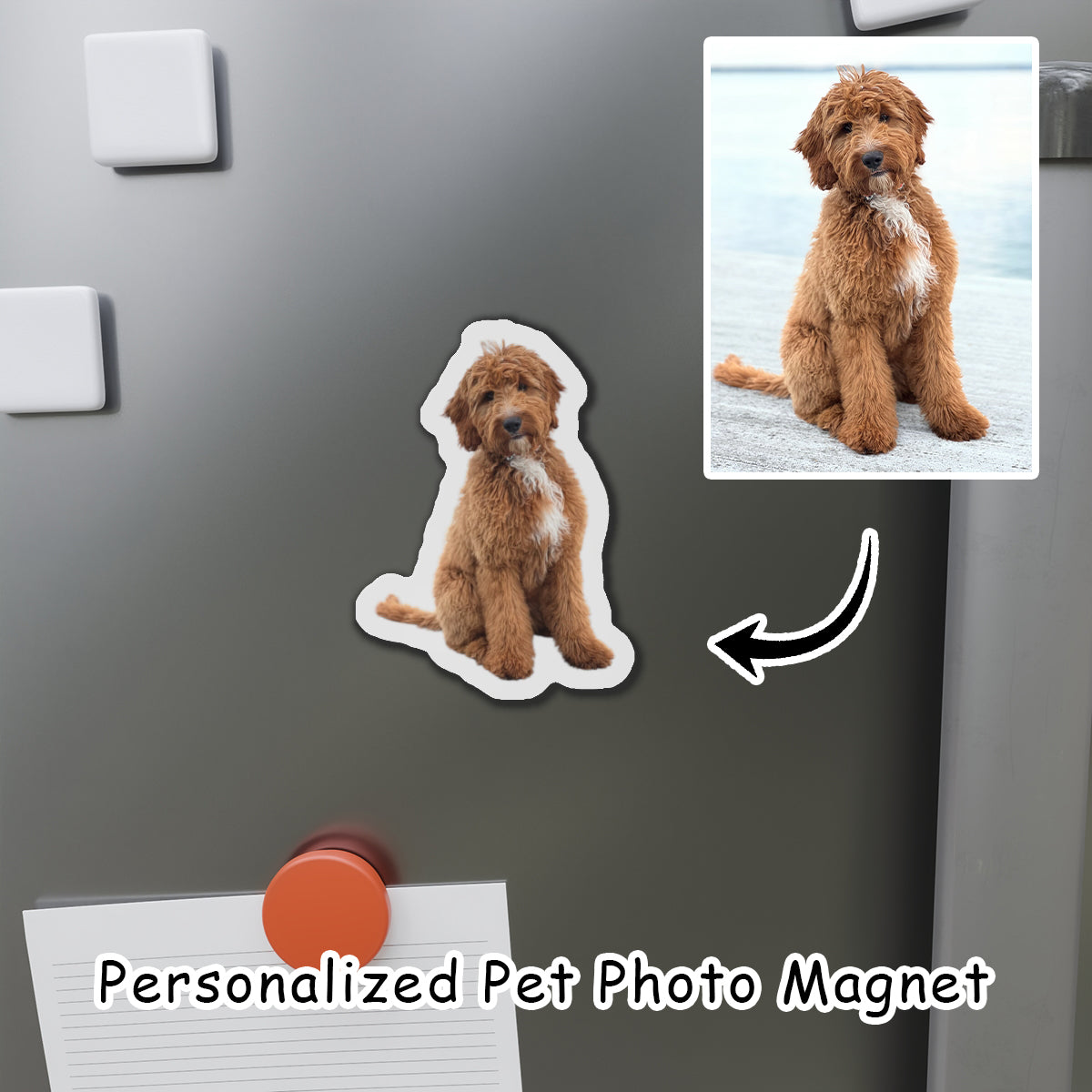 Personalized Pet Dog Cat Photo Die-Cut Magnets