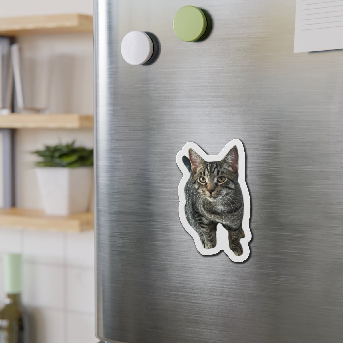 Personalized Pet Dog Cat Photo Die-Cut Magnets