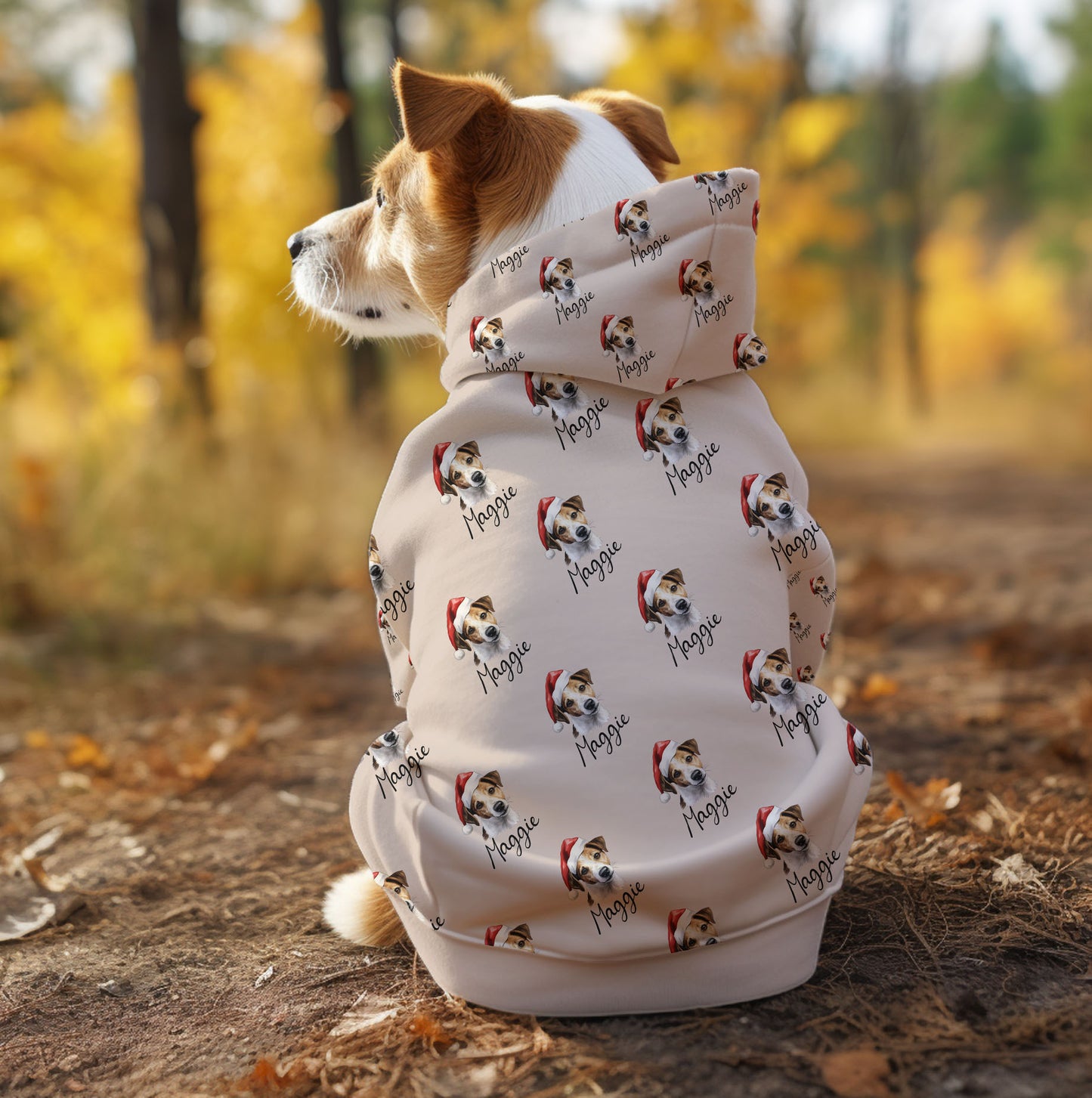 Personalized Photo Name Pet Dog Cat Custom Dog's Hoodie
