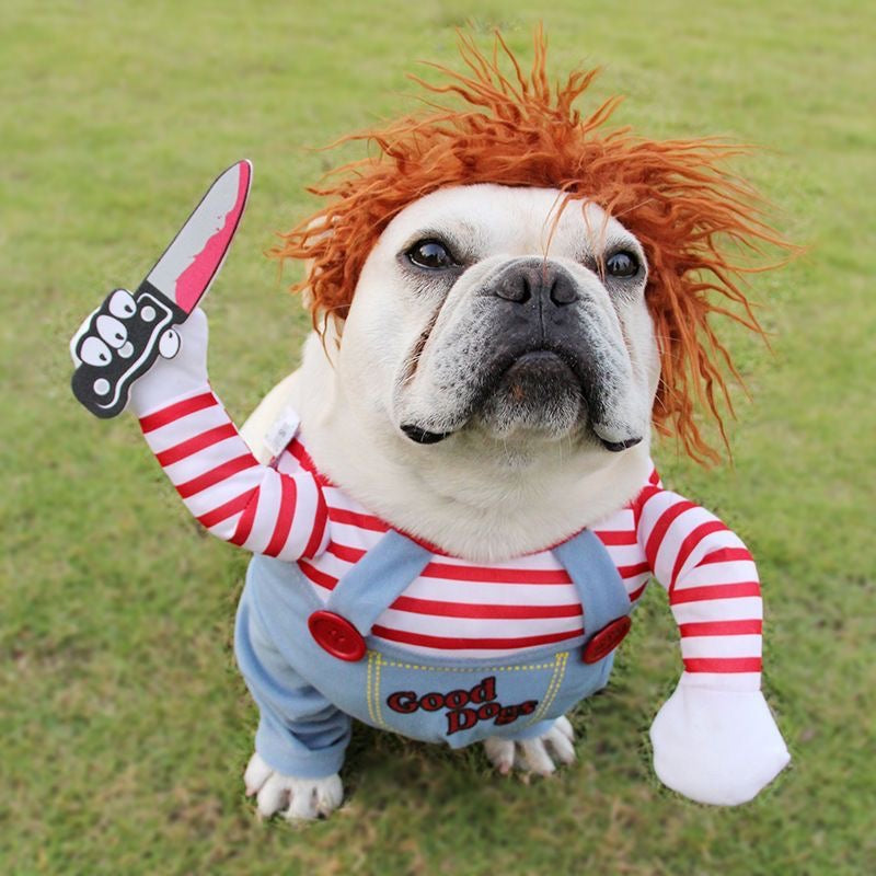 Halloween Pet Dog Cat Costume