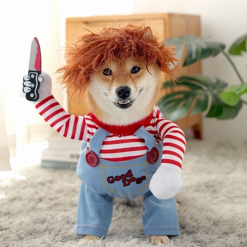 Halloween Pet Dog Cat Costume