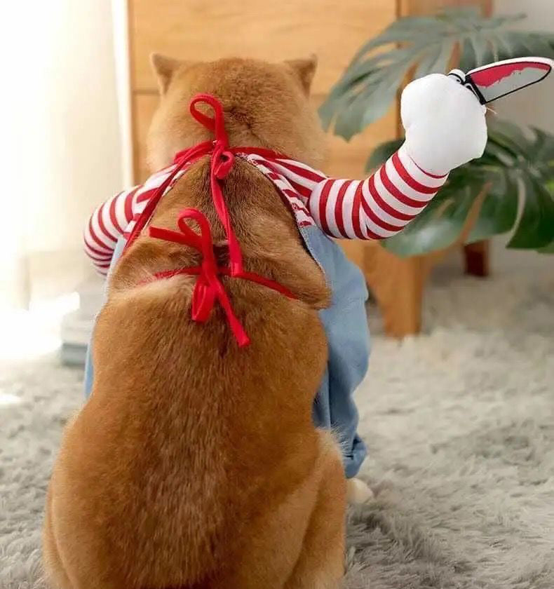Halloween Pet Dog Cat Costume