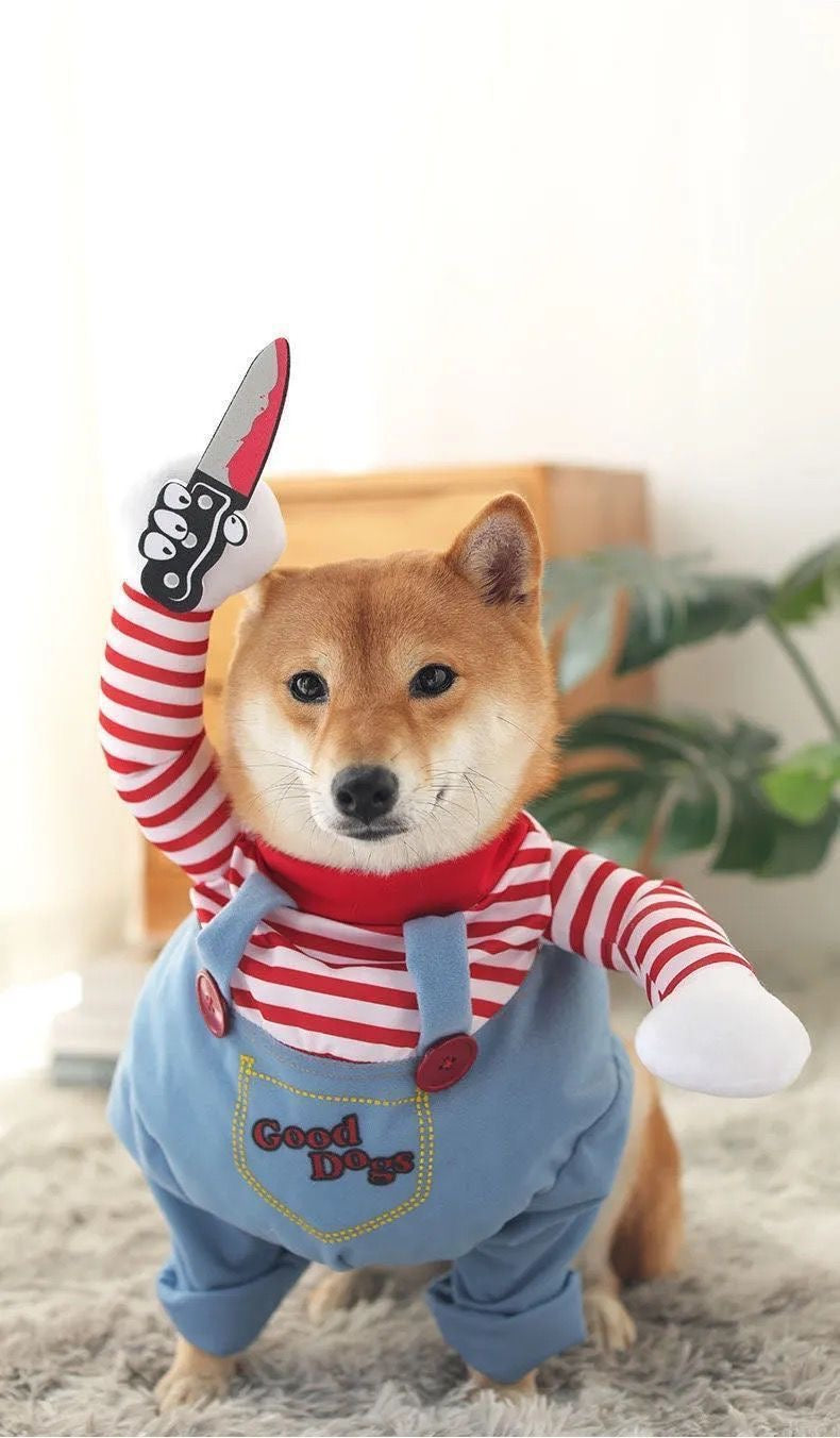 Halloween Pet Dog Cat Costume