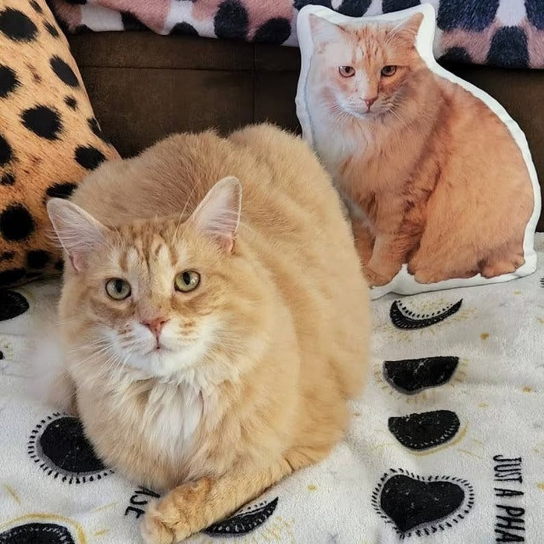 Personalized Pet Dog Cat Pillow Double-Sided Printing
