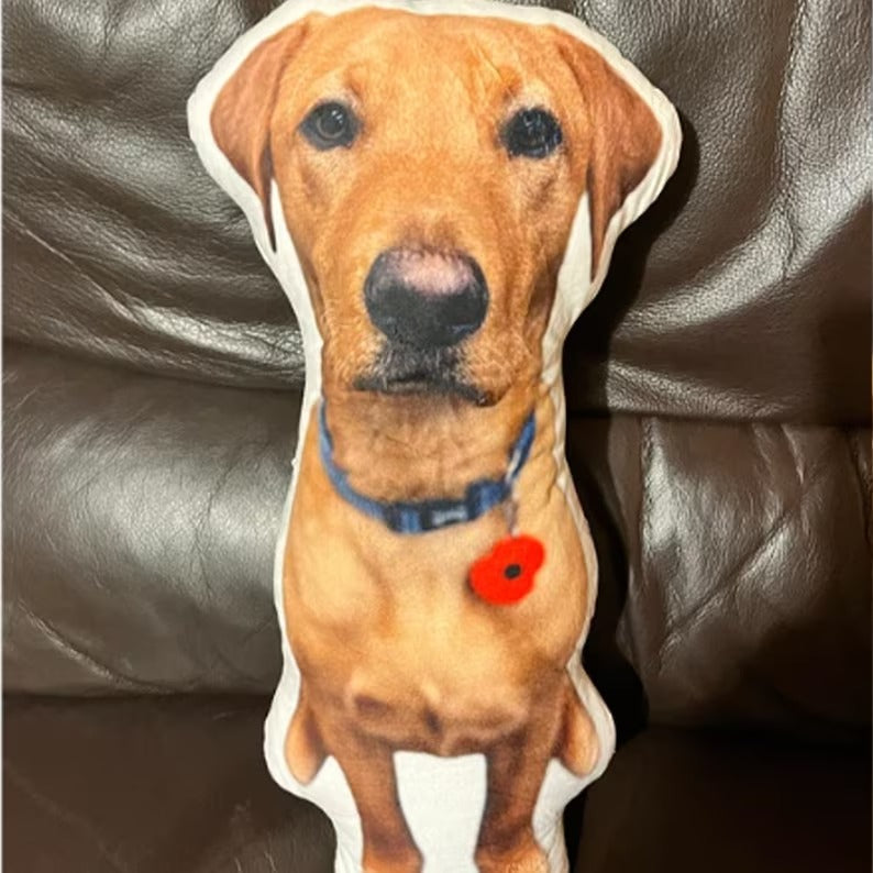 Personalized Pet Dog Cat Pillow Double-Sided Printing