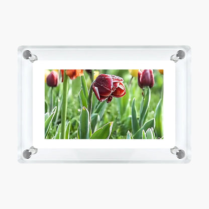 Acrylic Video Frame