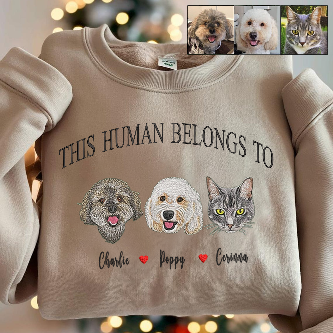 Halloween Personalized Embroidered This Human Belongs To Pet Dog Cat With Names Hoodie Sweatshirt T-Shirt