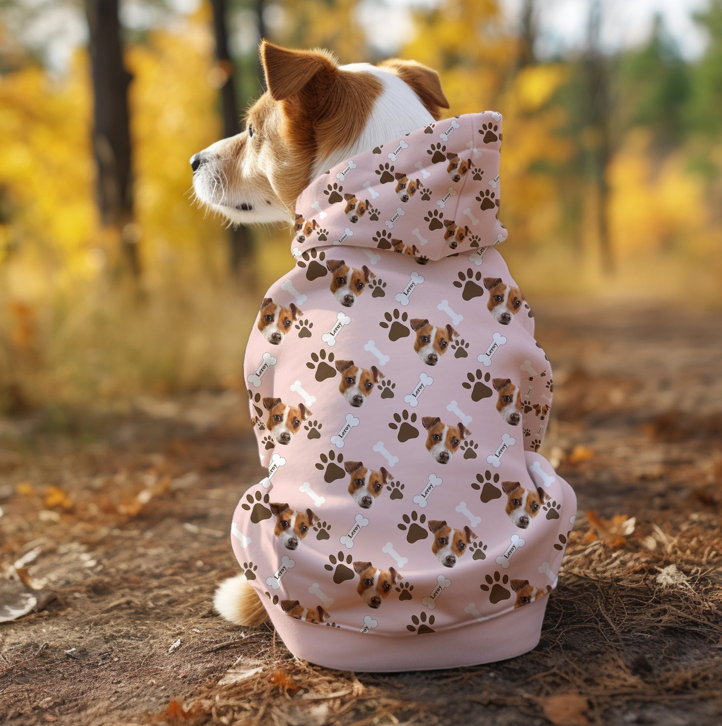 Personalized Pet Dog Cat Pet's Hoodie