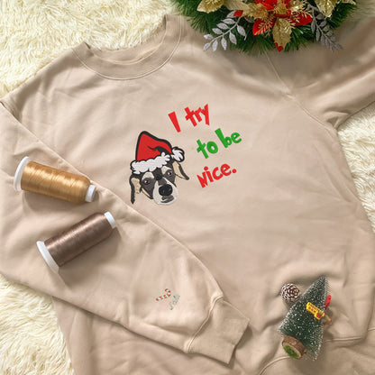 Personalized Embroidered Christmas I Try To Be Nice Pet Dog Cat Hoodie Sweatshirt T-Shirt